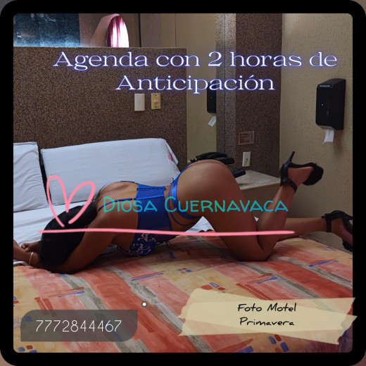Diosa Cuernavac escort en Cuernavaca - Foto 23